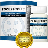 sealfocus_excel